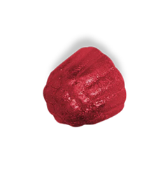 A suku vitamin on a white background