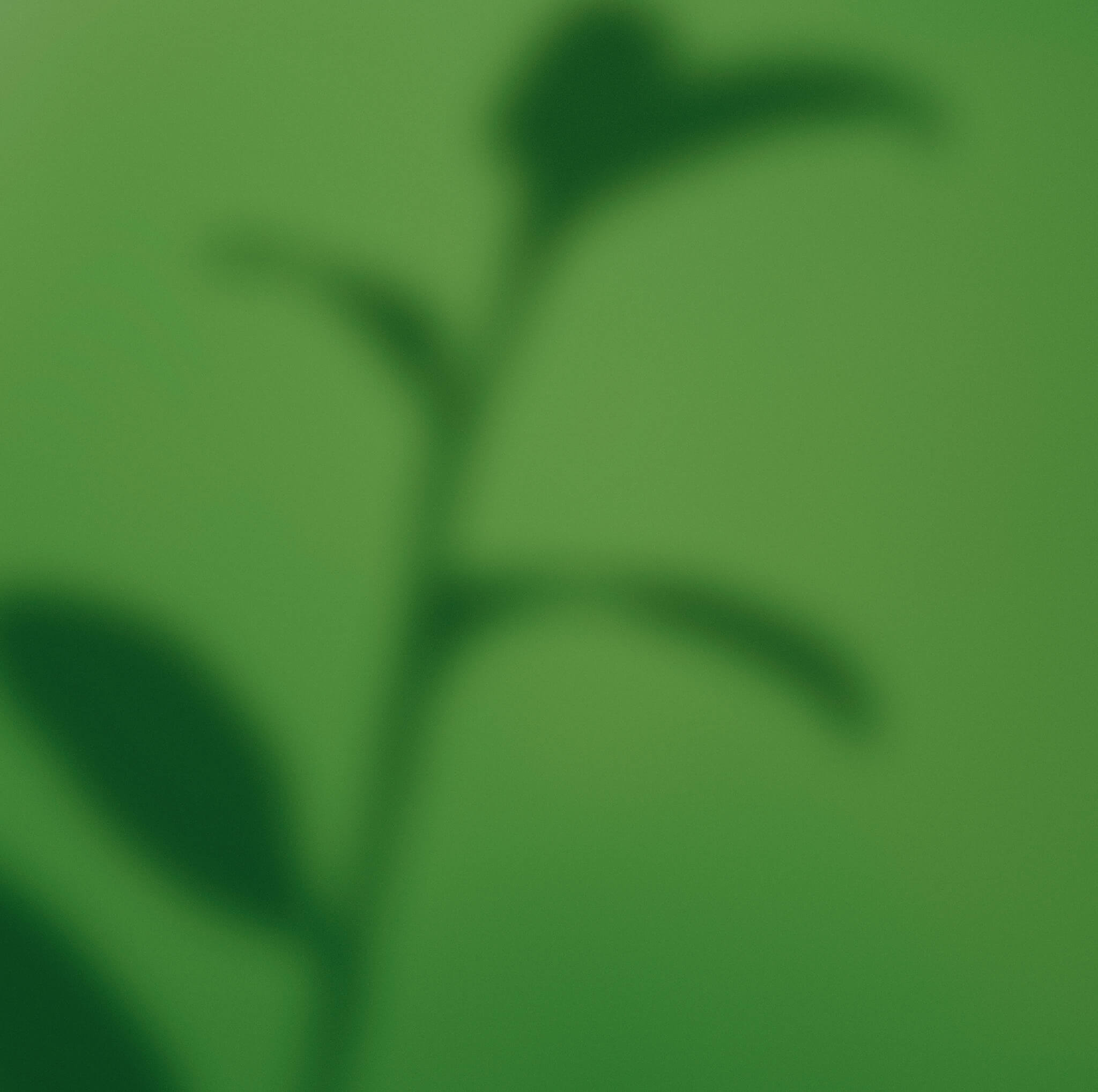 abstract green background texture